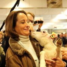 Pause tendresse pour Ségolène Royal au Salon de l'Agriculture, à Paris, le 27 février 2013.