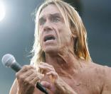 Iggy Pop : 'Rendez-moi mon camion, sinon je hurle ?'