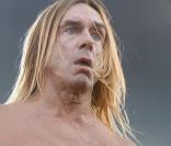 Iggy Pop : 'il est où mon camion ?'