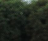 Ludovic Giuly