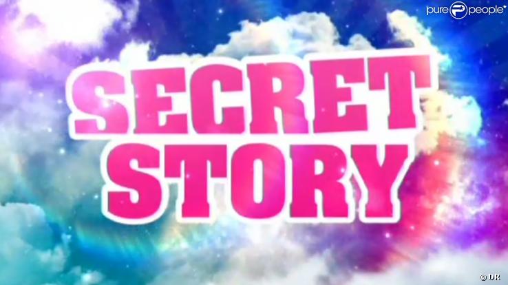 Logo Secret Story 2