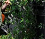 Michelle Williams : Matilda lui fait une belle frayeur !