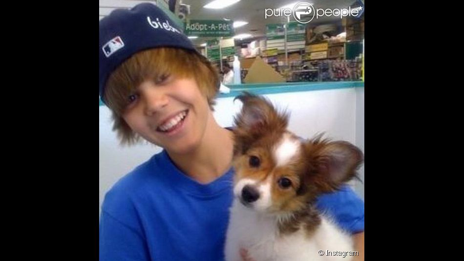 rencontre avec justin bieber 2013