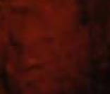 Sting