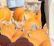 REPORTAGE PHOTO : Christian Slater, Benjamin Bratt et tous les parents stars avec enfants, se ruent sur... les citrouilles !