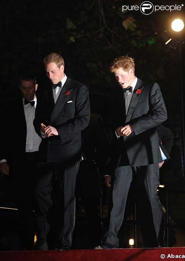 Prince William (g) et Harry à la première mondiale de James Bond Quantum of Solace !