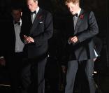 Les princes William et Harry