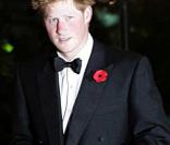 Les princes William et Harry