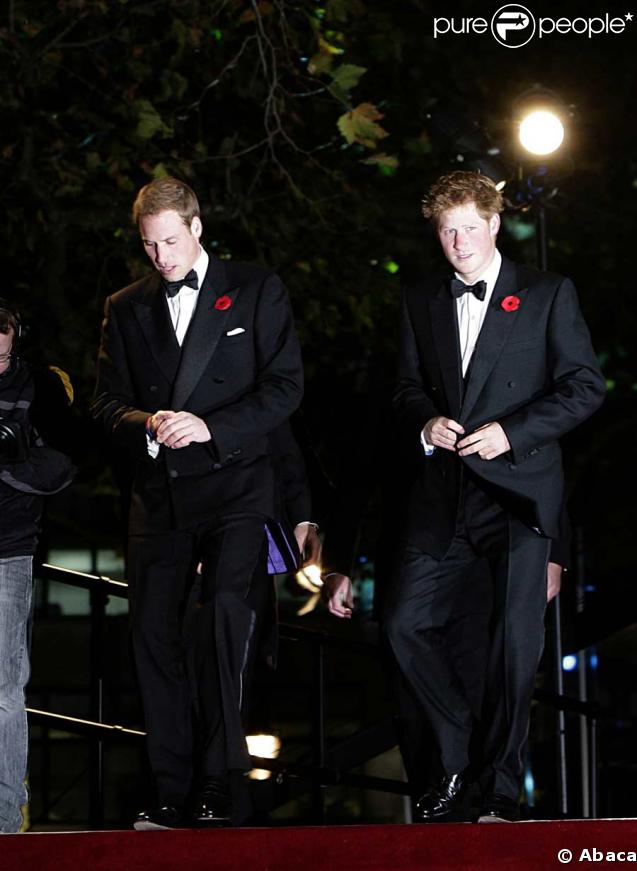 Les princes William et Harry