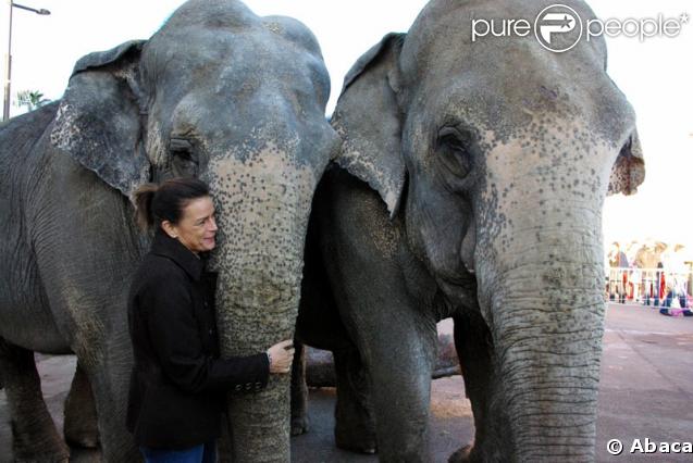 Stéphanie de Monaco aux répétitions du festival International du Cirque de Monte-Carlo et un couple d'éléphants du cirque Errani 