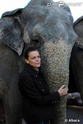 Stéphanie de Monaco aux répétitions du festival International du Cirque de Monte-Carlo accompagnée d'un éléphant du cirque Errani 