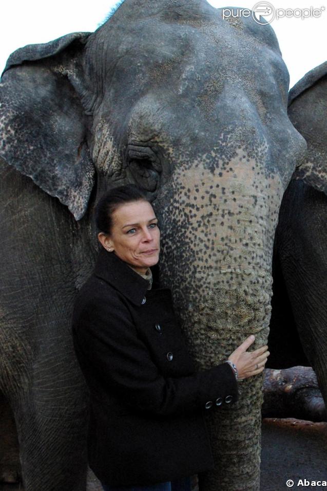 Stéphanie de Monaco aux répétitions du festival International du Cirque de Monte-Carlo accompagnée d'un éléphant du cirque Errani 