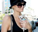 Paris Hilton