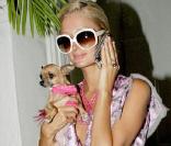 Paris Hilton