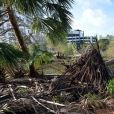 Exclusif - Le d&eacute;blayage et les r&eacute;parations des d&eacute;g&acirc;ts ont commenc&eacute;s apr&egrave;s le passage de l'ouragan Irma &agrave; Fort Lauderdale en Floride, le 11 septembre 2017