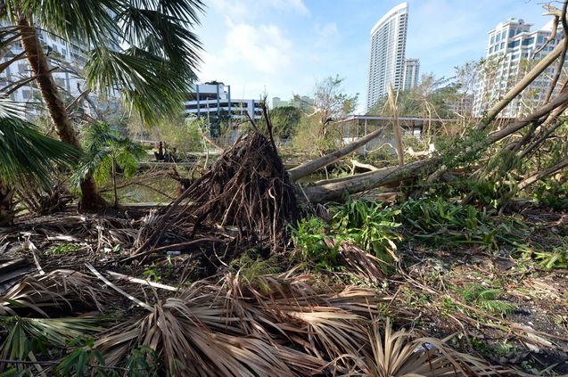 Exclusif - Le d&eacute;blayage et les r&eacute;parations des d&eacute;g&acirc;ts ont commenc&eacute;s apr&egrave;s le passage de l'ouragan Irma &agrave; Fort Lauderdale en Floride, le 11 septembre 2017