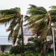 L'ouragan Irma s'abat sur Miami, le 10 septembre 2017. &copy; CPA/Bestimage
