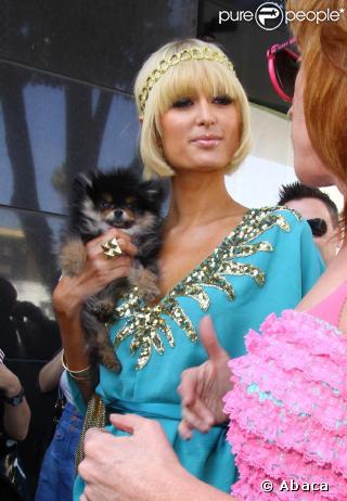 Paris Hilton et son éternel chihuahua ! 25/03/09