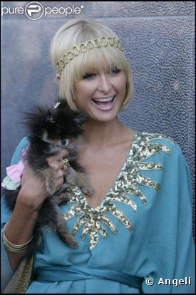Paris Hilton et son chien ont le même regard pétillant d'intelligence ! 25/03/09