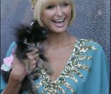 Paris Hilton et son chien ont le même regard pétillant d'intelligence ! 25/03/09