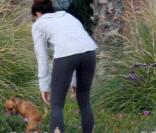 Sandra Bullock s'amuse avec ses chiens et sa belle-fille sur la plage à Los Angeles