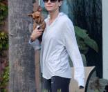 Sandra Bullock s'amuse avec ses chiens sur la plage à Los Angeles