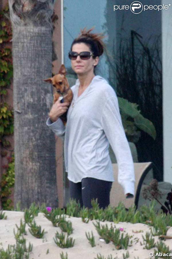 Sandra Bullock s'amuse avec ses chiens sur la plage à Los Angeles