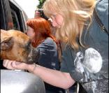 Debbie Rowe poursuit sa petite vie tranquillement à L.A. 27/07/09