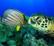 Des images de  Voyage sous les mers 3D  !