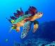 Des images de  Voyage sous les mers 3D  !