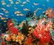Des images de  Voyage sous les mers 3D  !