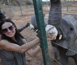 Ashton Kutcher et Demi Moore fêtent leurs quatre ans de mariage au Kenya : ils y ont notamment visité un orphelinat pour éléphants !