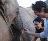 Ashton Kutcher et Demi Moore fêtent leurs quatre ans de mariage au Kenya : ils y ont notamment visité un orphelinat pour éléphants !