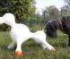 Voici le premier sex-toy pour chien !