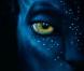 Des images du magnifique  Avatar , de James Cameron.