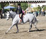 Destroy, 12 ans et fille du réalisateur mondialement connu Steven Spielberg, excelle dans le saut d'obstacles : elle monte ici le cheval Winter Castle.  