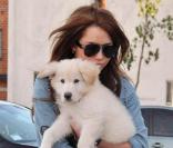 Miley Cyrus et son adorable chien à Los Angeles, le 24 janvier 2010