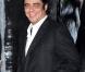 Le charismatique Benicio Del Toro à l'occasion de l'avant-première de  Wolfman , dans l'enceinte de l'ArcLight Theatre d'Hollywood, à Los Angeles, le 9 février 2010.