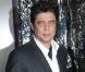Le charismatique Benicio Del Toro à l'occasion de l'avant-première de  Wolfman , dans l'enceinte de l'ArcLight Theatre d'Hollywood, à Los Angeles, le 9 février 2010.