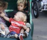 Gwen Stefani et Gavin Rossdale et leurs enfants (28 février 2010 au zoo de Los Angeles)