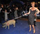 Emma Thompson et un joli cochon lors de la première à Londres le 24 mars de Nanny McPhee et le big bang