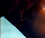 Waris Dirie livre sa version des faits