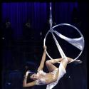 Regardez Sofia Essaïdi, recouverte de diamants, faire son show divin lors d'une magnifique soirée pleine de stars !