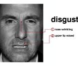 Comment reconnaître le dégoût ? Facile... 