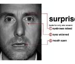 Comment reconnaître la surprise ? Facile... 