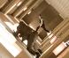 Des images d' Inception , de Christopher Nolan.
