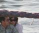 Nicolas et Carla Sarkozy : escapade à Marrakech loin des festivités du mariage de Cécilia et Richard Attias...