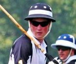 Le 27 juin 2010, le prince Harry, dans le cadre de sa visite de trois jours à New York pour promouvoir sa fondation Sentebale, participait à match de polo de charité, au cours duquel il a chuté. 
