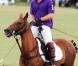 Le 17 juillet 2010, le Asprey World Class Polo, dans le Surrey, a vu le prince Harry et Katie Price s'affronter sur le terrain. Dans le public, de prestigieux spectateurs, comme Albert de Monaco et Charlene, ou Ronnie Wood et sa jeune Ana Araujo. <br