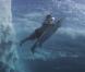 Eddie Vedder et Pearl Jam signent pour Amongst the waves un clip dédié à la préservation des espaces marins... Sublime autant qu'alarmant !